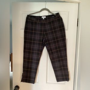 Susan graver crop pant